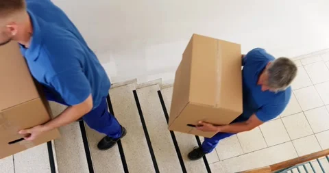 Overseas Relocator Movers Delivering Boxes Video stock 243809308