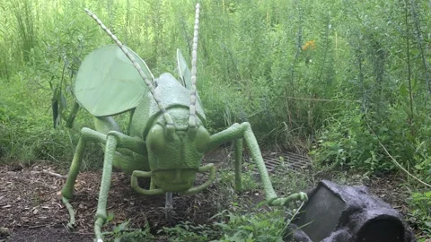 Oversized grass hopper model at zoo Stock Footage 228638368