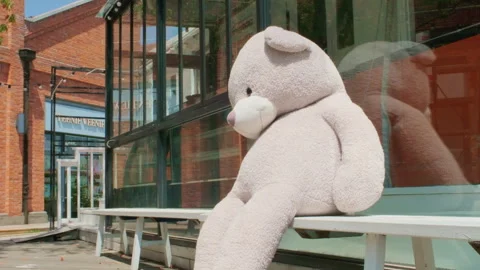 Oversized plush teddy bear seated on bench outside glass storefront Stockbeeldmateriaal 332852787