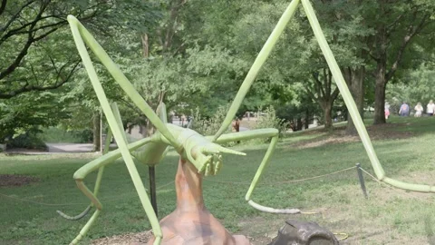 Oversized praying mantis model at zoo Stock Footage 228634794