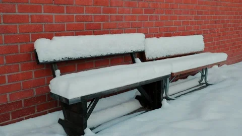 Oversnowed Benches Stock Footage 169793079