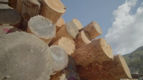 Overtake Shot Of Stocking Of Tree Trunks Under Blue Sky Stock Footage 257673811