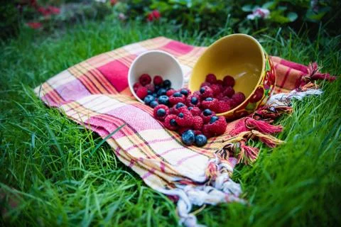 Overturned cups of raspberries and blueberry. Picnic on the grass Stock Photos