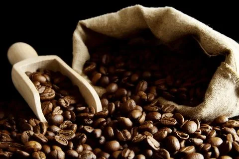 Overturned sack full of coffee beans isolated on black with spatula Stock Photos