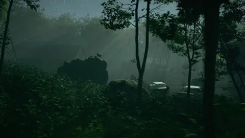 Overview of an abandoned forest settlement at night, post-apocalyptic setting. Video stock 309071922
