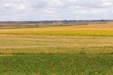 Overview of agricultural fields Foto stock