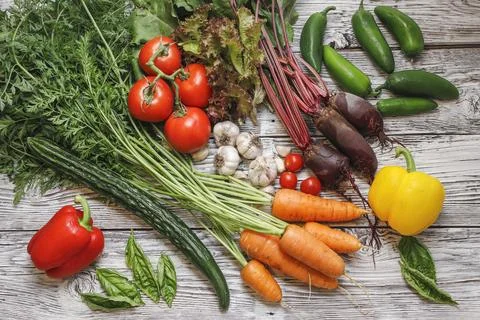 Overview of assorted vegetables. Stock Photos