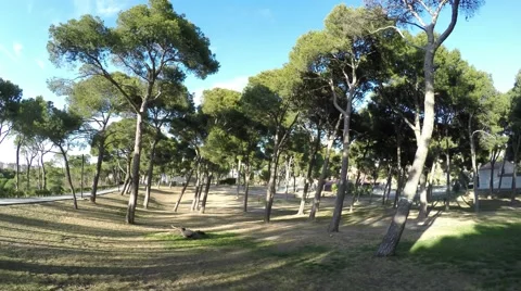 Overview of the city park with trees, path and shadows on a sunny day 스톡 동영상 47967235