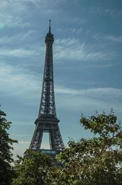 Overview of Eiffel Tower and leafy treetops in Paris Stock Photos