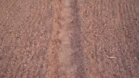 Overview of empty clean garden beds in spring ready for planting. sunset Stock Footage 197139325