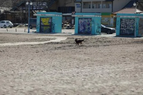 Overview of the empty Vama Veche beach and some pubs and restaurants on a s.. Stock Photos