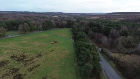 Overview of the forest Stock Footage 278244190