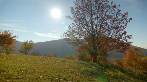 Overview of grass field and one big tree with mountains clear sky on the Video stock 166160031