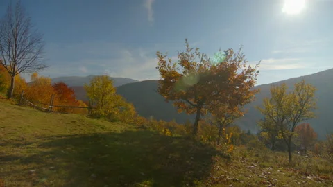 Overview of grass field with fruit trees on the foreground and mountains in the Stock Footage 166157530