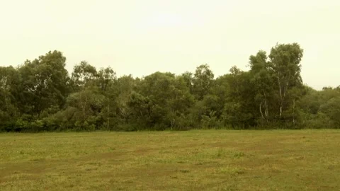 Overview of grassland of Island Stock Footage 252178099