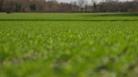 Overview Green Field With Farm Stock Footage 149672247