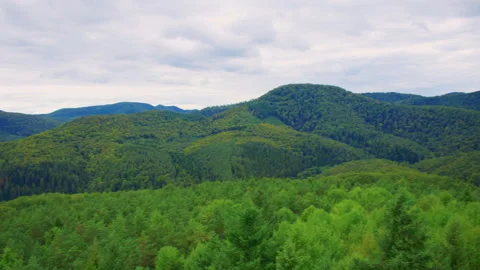 Overview of green mountains under overcast cloudy sky. Stock Footage 309358079