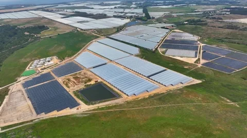 Overview of greenhouse complex featuring polytunnel farms Stock Footage 341812209