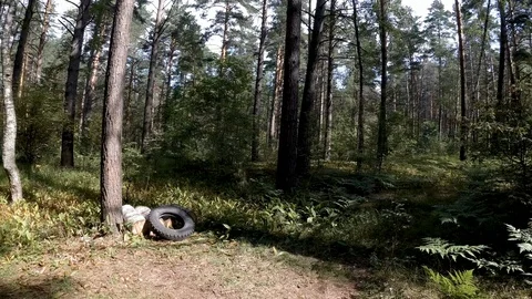 Overview of gym in forest Stock Footage 114652558