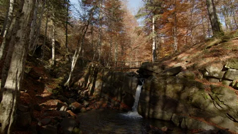 Overview of hidden waterfall in the forest. Sunny autumn day. Low angle view. Stock Footage 167336372
