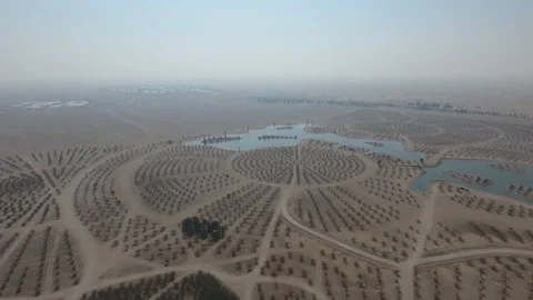 An overview of man made Al Qudra Lake and Oasis in Dubai. (aerial photography) Stock-Footage 107407585