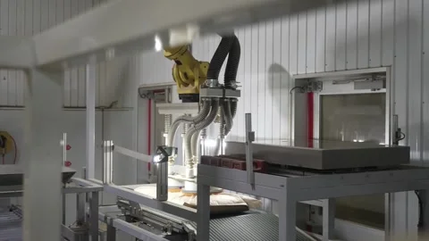 Overview of a Modern Green Tea Processing Factory Line Vídeos de archivo 340009920