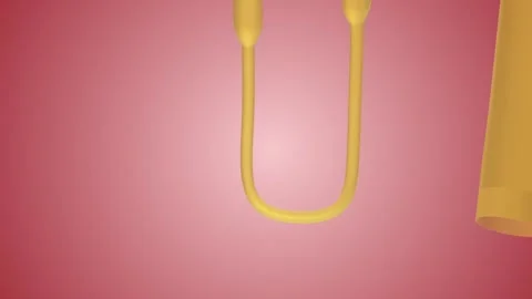 Overview of Nephron Function Loop of Henle 動画素材 245277366