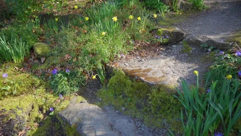 Overview of old stairs in perspective view Stock Footage 152439718