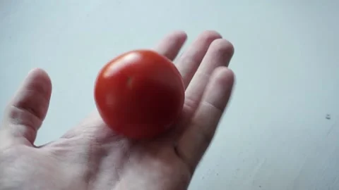 Overview of one tomato in hands Stock Footage 206754209