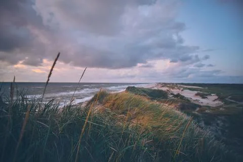 Overview over dunes in evening light at danish west coast Stock Photos