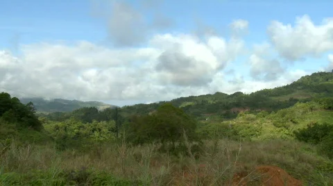 An Overview over a jungle valley Video stock 608180