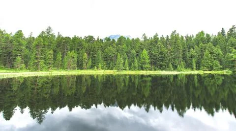 Overview of a pine forest reflecting on the lake Stock Photos