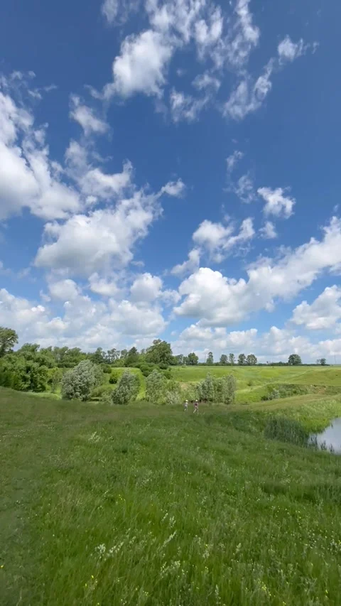 Overview of the pond, forest and field Stock Footage 296999005