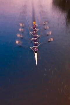 Overview of Rowing Stock Photos