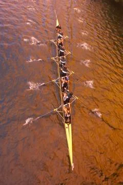 Overview of Rowing Stock Photos