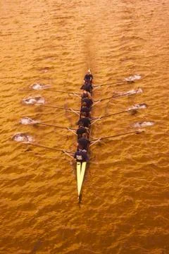 Overview of Rowing Stock Photos