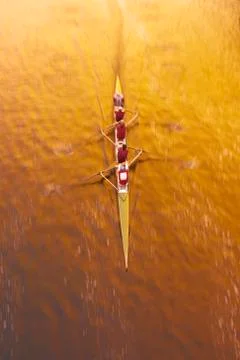 Overview of Rowing Stock Photos