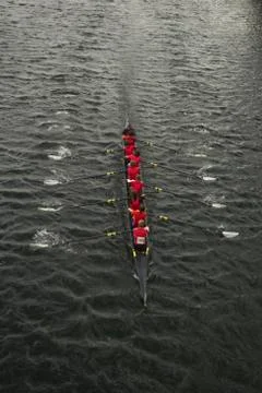 Overview of Rowing Stock Photos