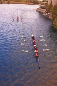 Overview of Rowing Race Stock Photos