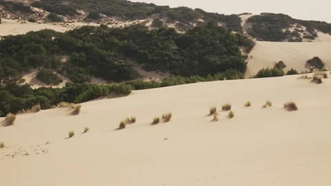 Overview on sand dunes Stock Footage 150512124