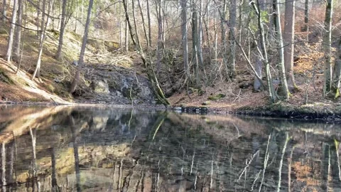 Overview of a small alpine lake with a great clear reflection of trees 4k Stock Footage 149650935
