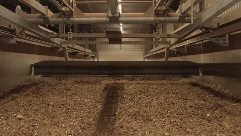 Overview of Storage Bunker Full of Biomass Wood Chips, Fuel Depot, Wide Shot Vídeo Stock 341440958