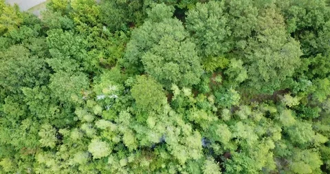 An Overview Of A Suburban Area Stock Footage 110356893