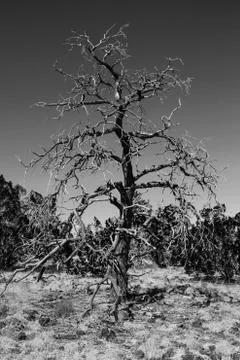 Overview in time Stock Photos