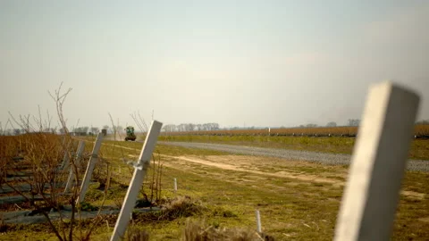 Overview of tractor riding down a road between blueberry fields on a sunny day. Stock Footage 191035491