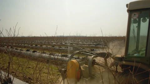 Overview of tractor working and making dust clouds in rows of blueberry bushes Stock Footage 191037454