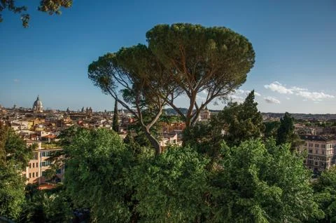 Overview of trees, cathedrals domes and roofs of buildings in the sunset of Rome Stock Photos