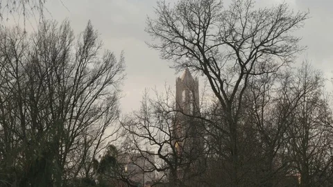 Overview of Utrecht and Dom through waving trees in autumn Stock Footage 76388284