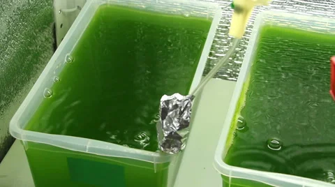 Overview of vessels with green bubbling liquid Stock Footage 60816593