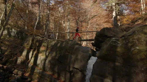 Overview of young couple jogging over the bridge in forest, wearing sport Video stock 166159937